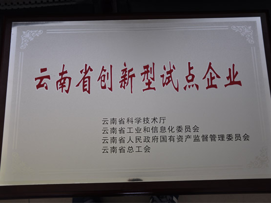创新型试点企业